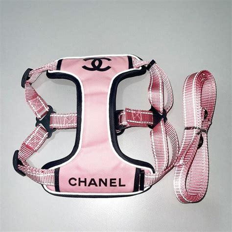 chanel clothes for dogs|coco chanel dog accessories.